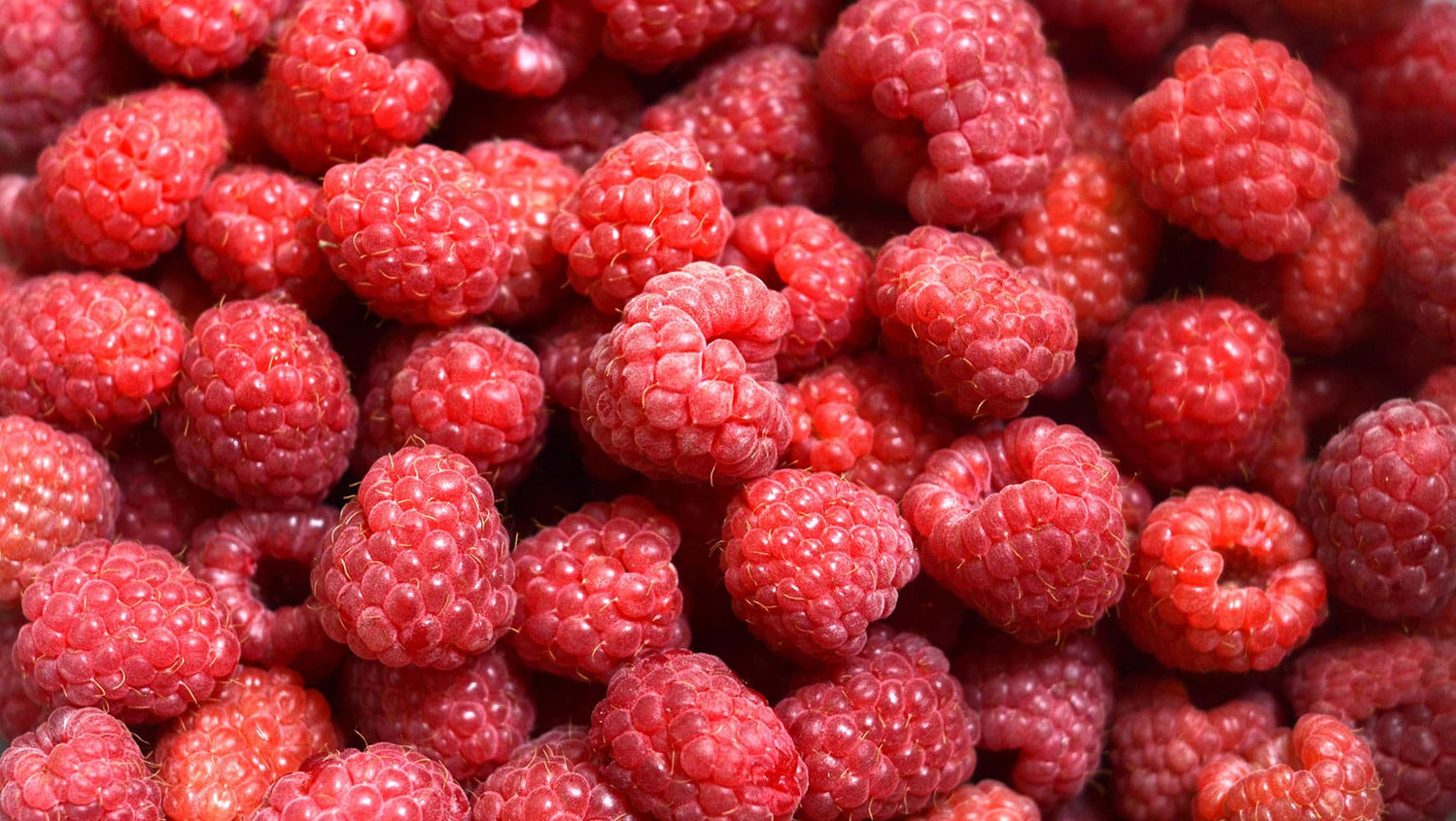 Cassis, myrtilles, framboises : les bienfaits des baies et fruits rouges sur la santé