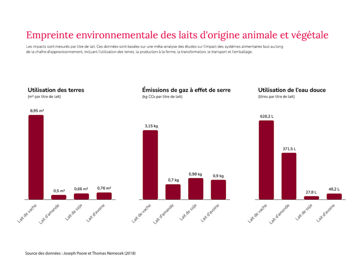Les probiotiques végétaux sont-ils plus efficaces que les probiotiques laitiers ?