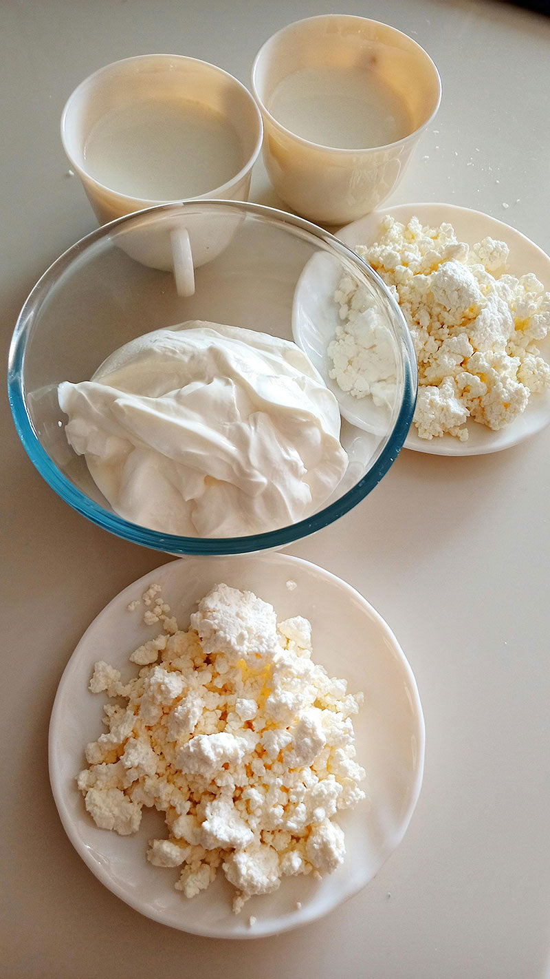 Kéfir maison : la boisson idéale qui booste votre santé