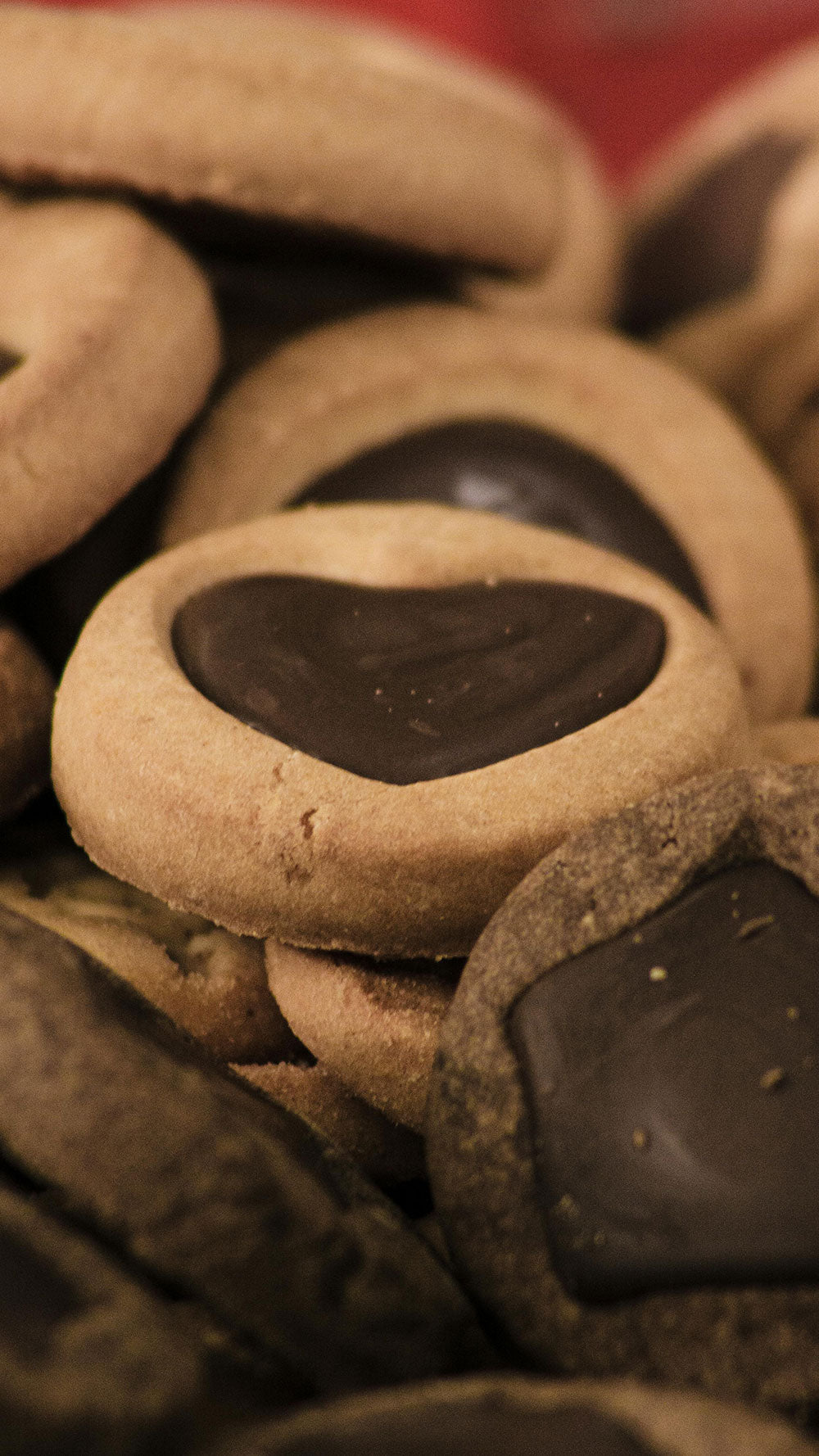 Aliments transformés ou ultra-transformés : quelle différence et quels dangers pour notre santé et la planète ?