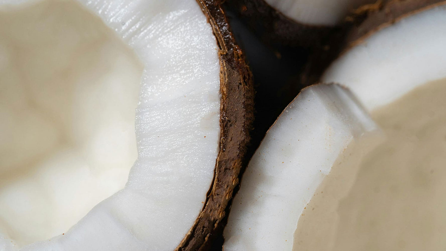 Lait animal ou végétal, lequel est le plus sain ?