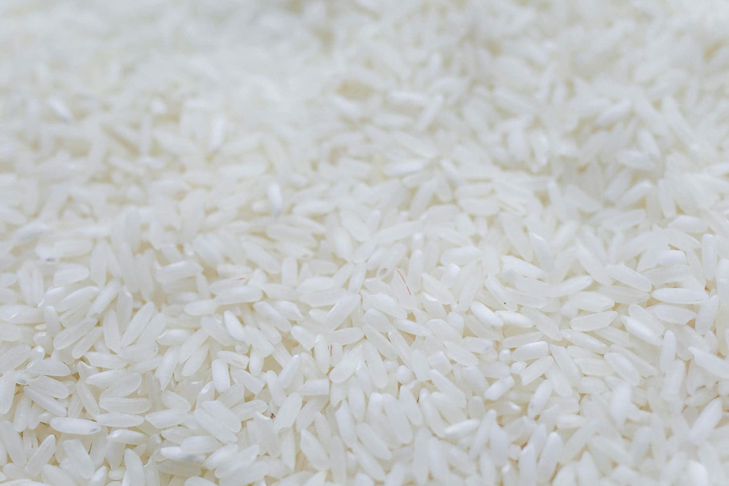Lait animal ou végétal, lequel est le plus sain ?