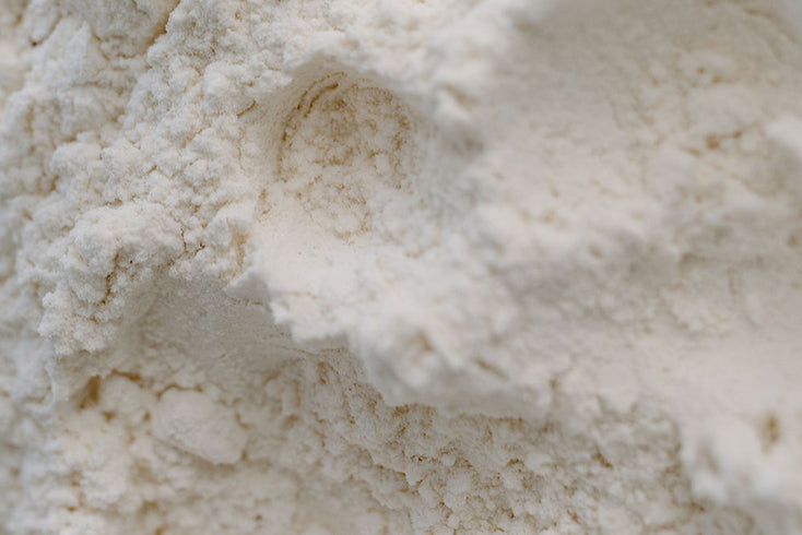 Les 4 souches probiotiques minimiil et leurs bienfaits sur le microbiote