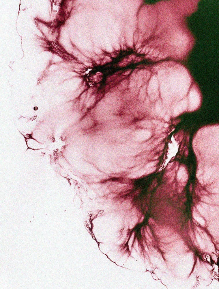 minimiil-bien-manger-engagements-microbiote
