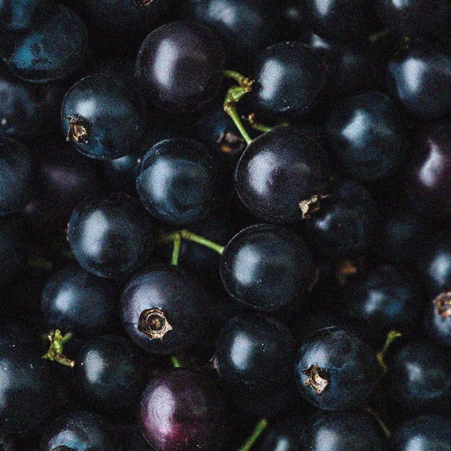 minimiil-lait-amande-fermente-cassis-ingredient