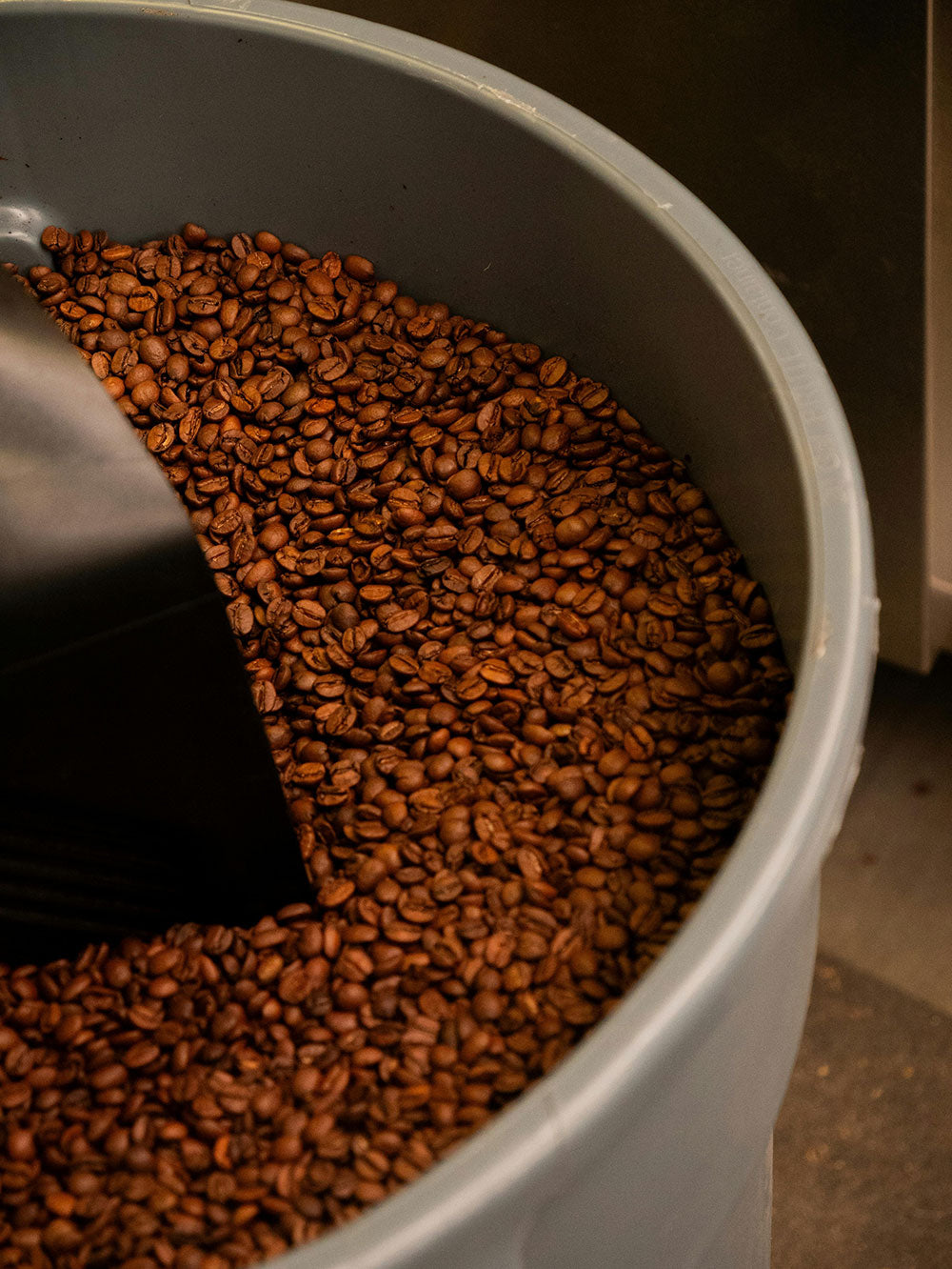 Café & microbiote : l’allié insoupçonné (ou l’ennemi discret) de votre santé intestinale