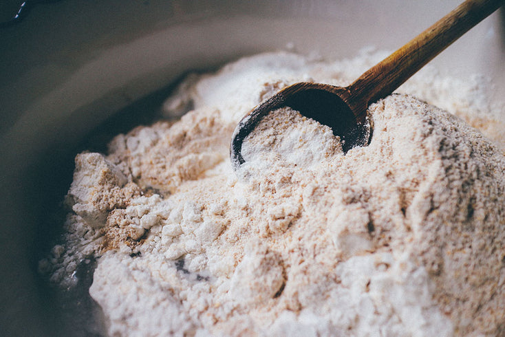 Les 4 souches probiotiques minimiil et leurs bienfaits sur le microbiote