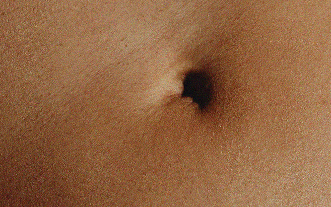 Microbiote et sport : l’intestin, moteur caché de la performance